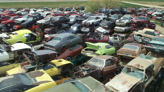 Illustration for article titled Is This The World's Largest Vintage Mustang Junkyard?